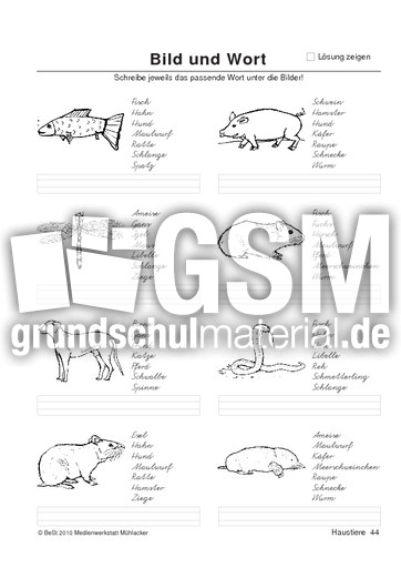 BuW Haustiere44.pdf